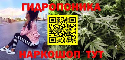 амф Краснодар