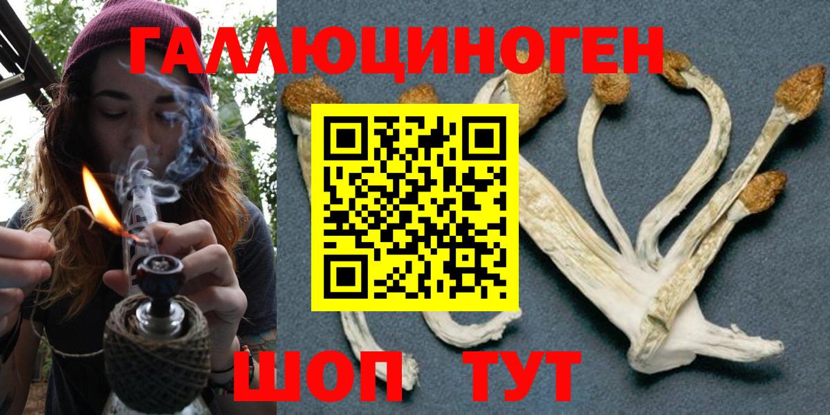 наркота  Вход с VPN  Еманжелинск  Псилоцибиновые грибы Cubensis  Галлюциногенные грибы прущие грибы 